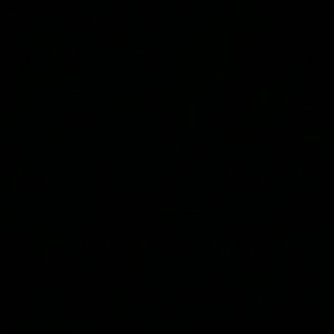 Meet your Posher, Tommy